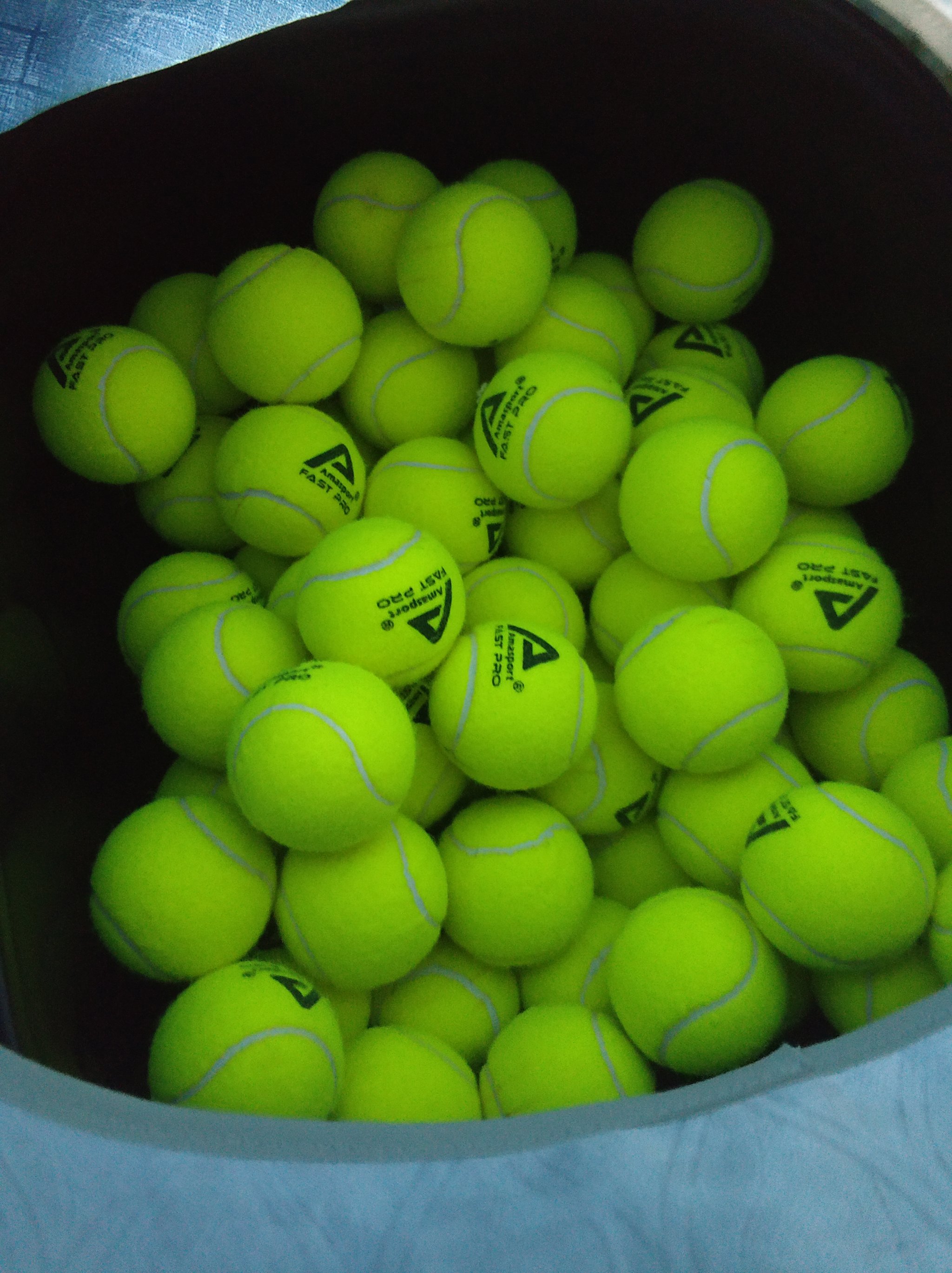 的坚定决心 的坚定决心