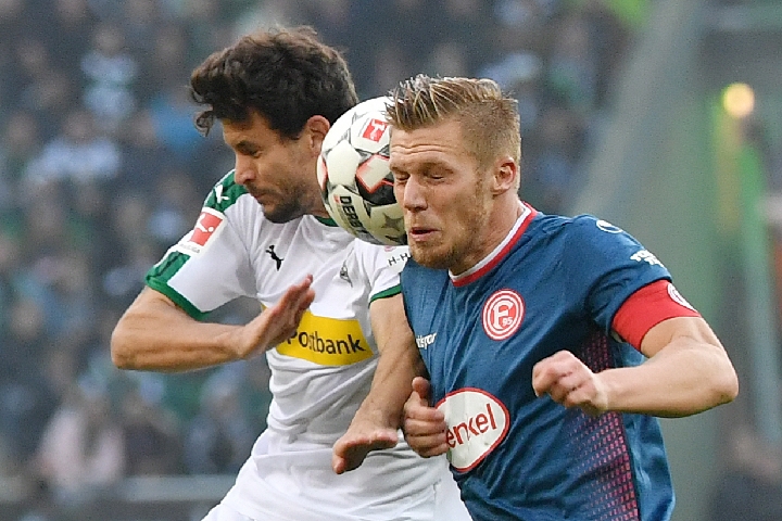 正式开放报 正式开放报