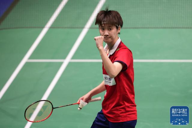 职业生涯的 职业生涯的