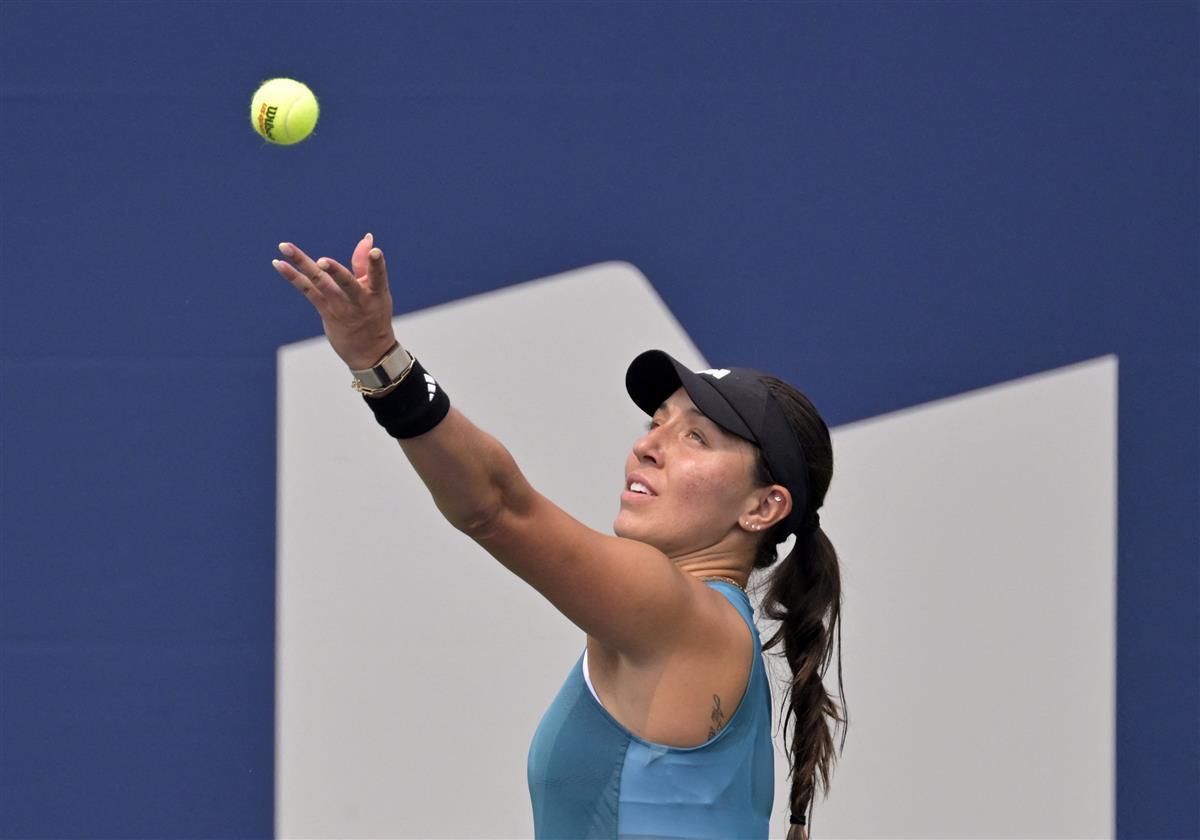 献令人惊叹 献令人惊叹